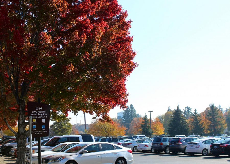 Out of all ages, freshmen are bringing their cars more this year than ever before.