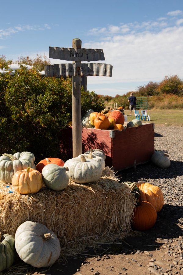 Ellensburg’s “The Patch” will be open this fall, complying with COVID-19 regulations