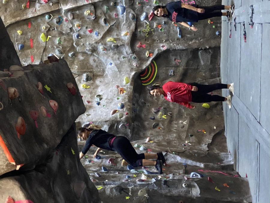 Wildcats enjoying the rock wall. 